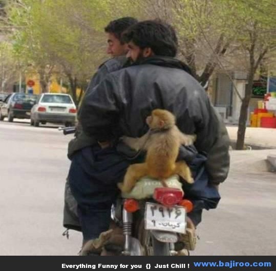 giao thông hài hước ảnh 3 giao thong hai huoc anh 3