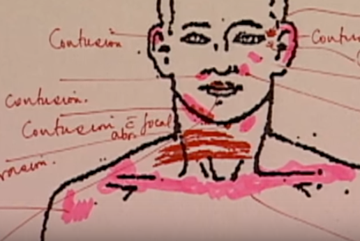 Canh sat dong tinh anh 3