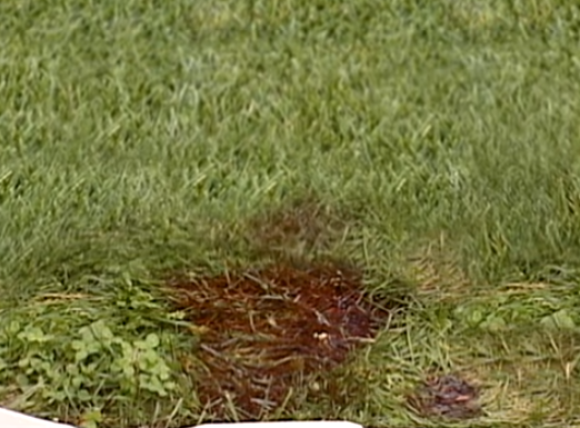 Canh sat dong tinh anh 5