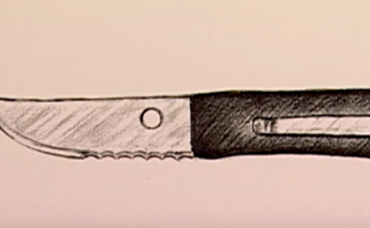 Canh sat dong tinh anh 4