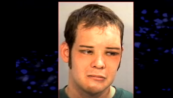 Canh sat dong tinh anh 7