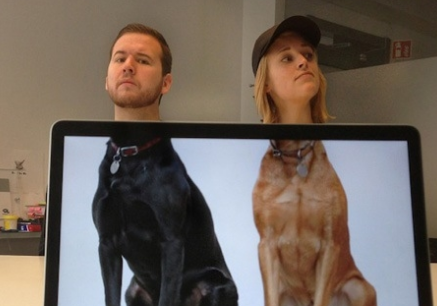 Loat anh che hai huoc trong ngay hinh anh