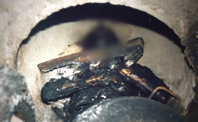 Nu vo sinh bi giet anh 4