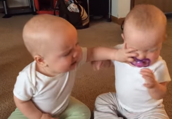 Cuoc chien vi ti gia cua cap song sinh hinh anh