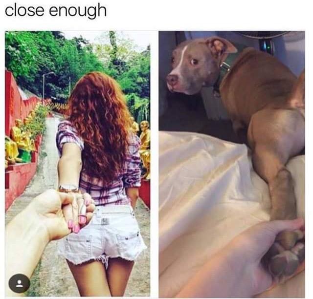 12 anh hai huoc trong tuan hinh anh