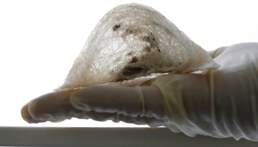 Che bien ca phe trang tu to yen hinh anh