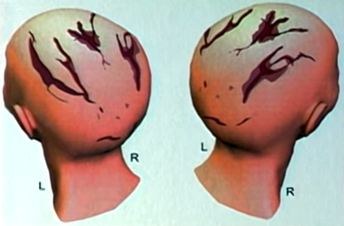 cai chet cua nu pho chu tich anh 11