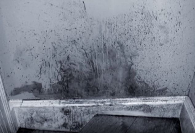 cai chet cua nu pho chu tich anh 7