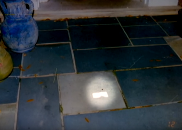 cai chet cua nu pho chu tich anh 9