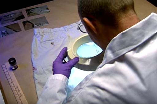 Nha van noi tieng giet vo anh 3