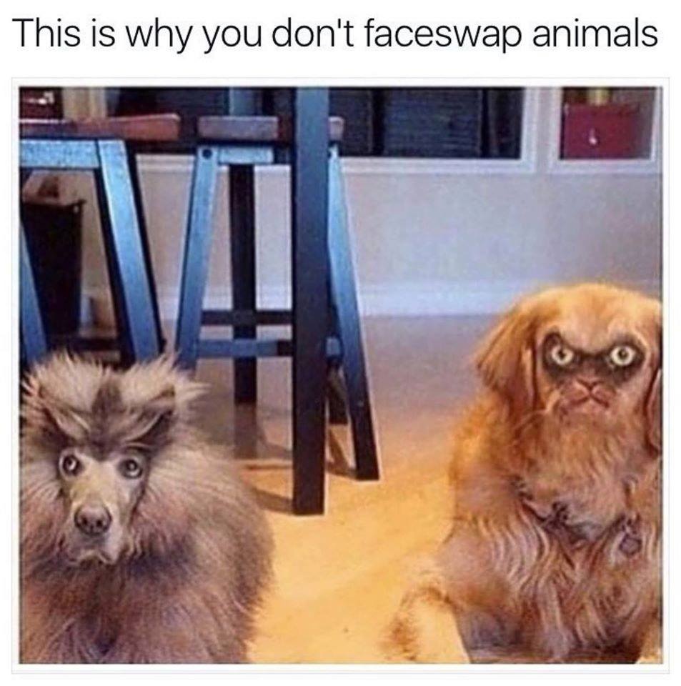 lột lông trên mặt ảnh 7 lot long tren mat anh 7