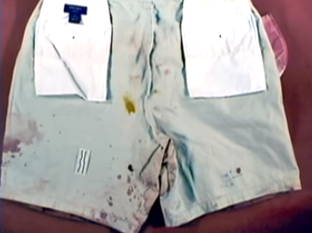 Nha van noi tieng giet vo anh 4