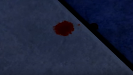 Nha van noi tieng giet vo anh 11