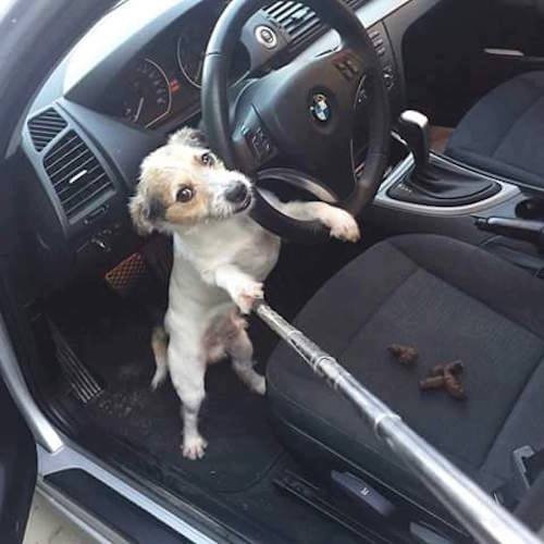 anh hai huoc tren Facebook anh 3