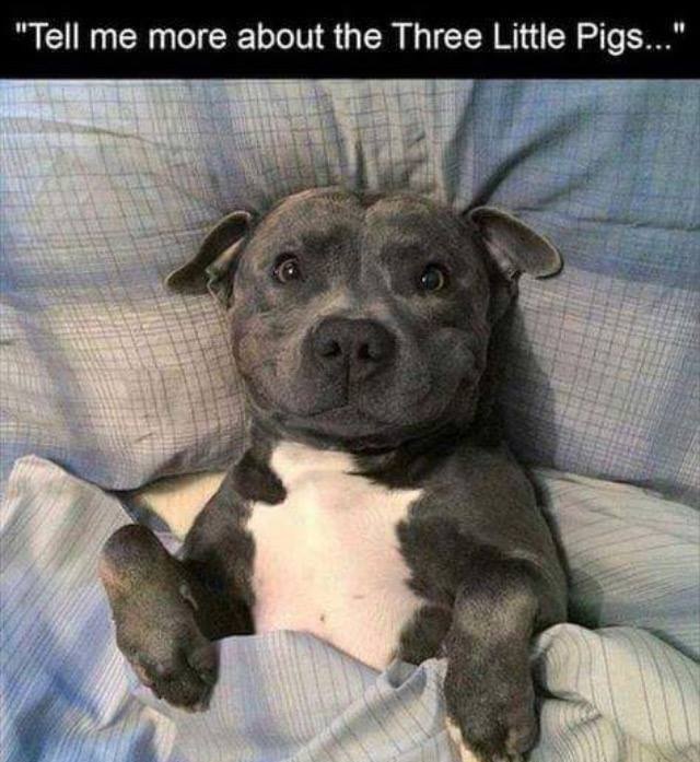 anh hai huoc tren Facebook anh 7