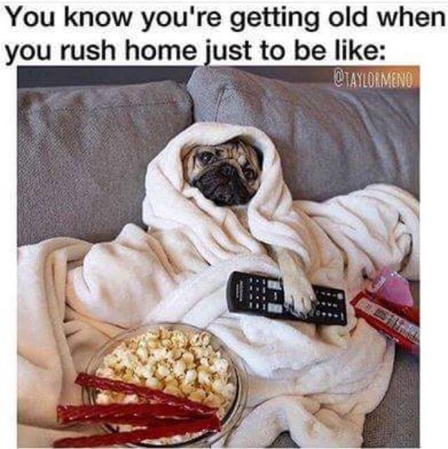 Chùm ảnh hài về chó và mèo ảnh 1 Chum anh hai ve cho va meo anh 1