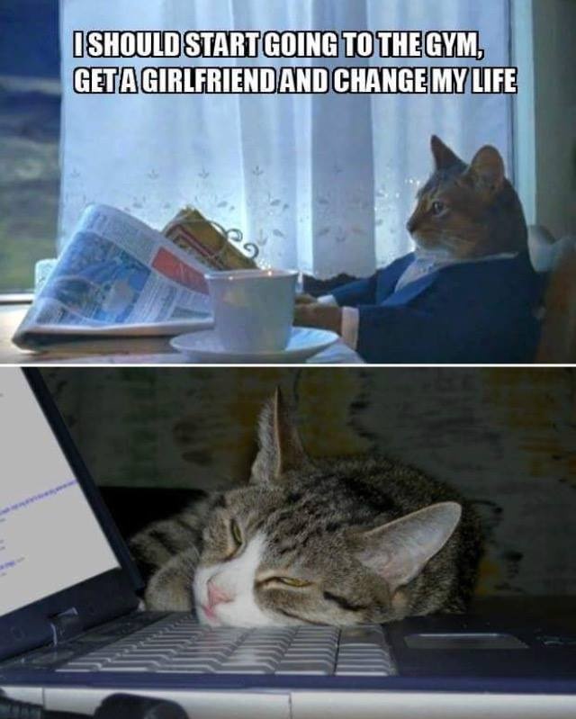 Chùm ảnh hài về chó và mèo ảnh 3 Chum anh hai ve cho va meo anh 3