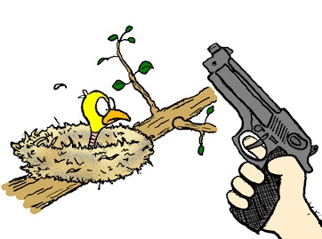 Chuyen chim dau nong sung hinh anh