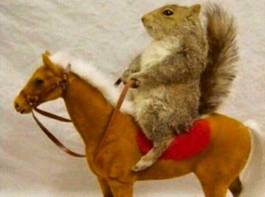 Dich vu si nhuc voi gia 1 USD hinh anh