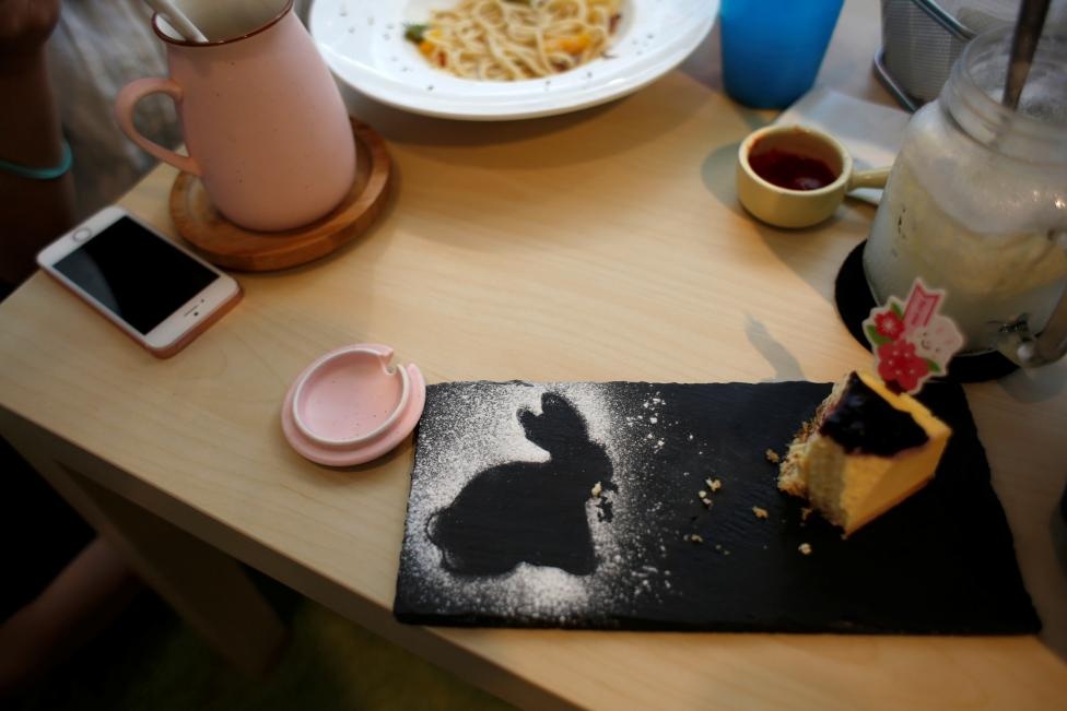 quán cà phê thỏ ở Hong Kong ảnh 3 quan ca phe tho o Hong Kong anh 3