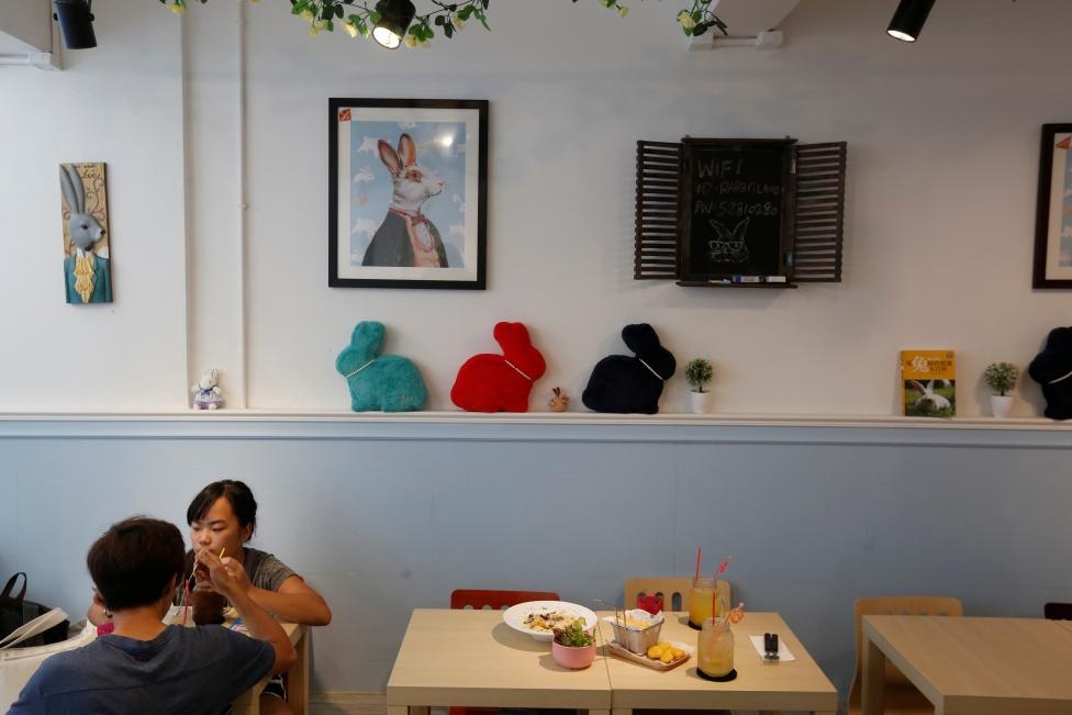 quán cà phê thỏ ở Hong Kong ảnh 5 quan ca phe tho o Hong Kong anh 5