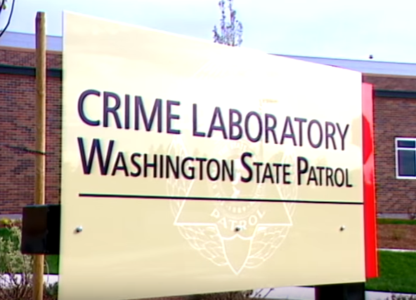 Am muu giet con anh 2