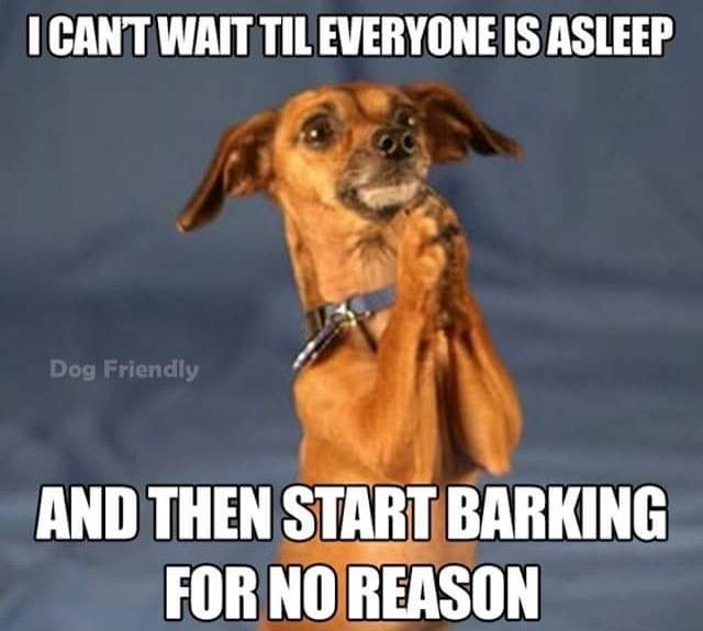 Cu dung vai cua cho hinh anh