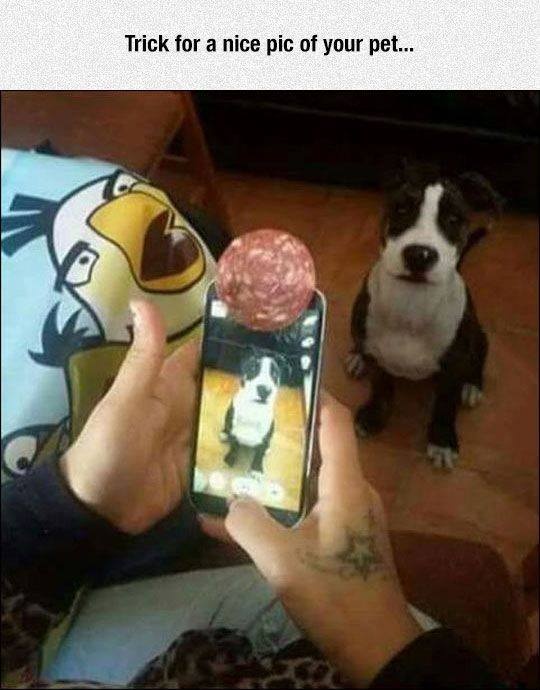 ảnh hài hước trên Facebook ảnh 8 anh hai huoc tren Facebook anh 8