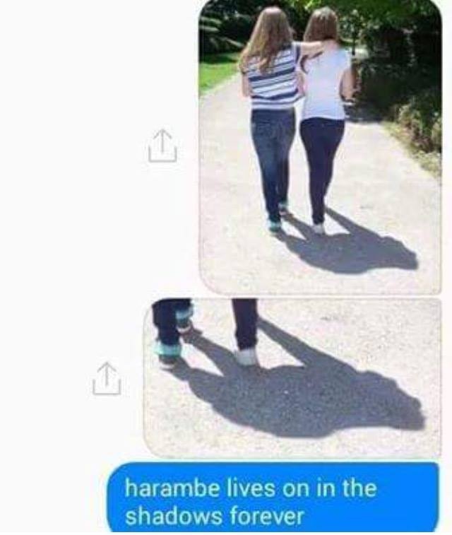 ảnh hài hước trên Facebook ảnh 3 anh hai huoc tren Facebook anh 3