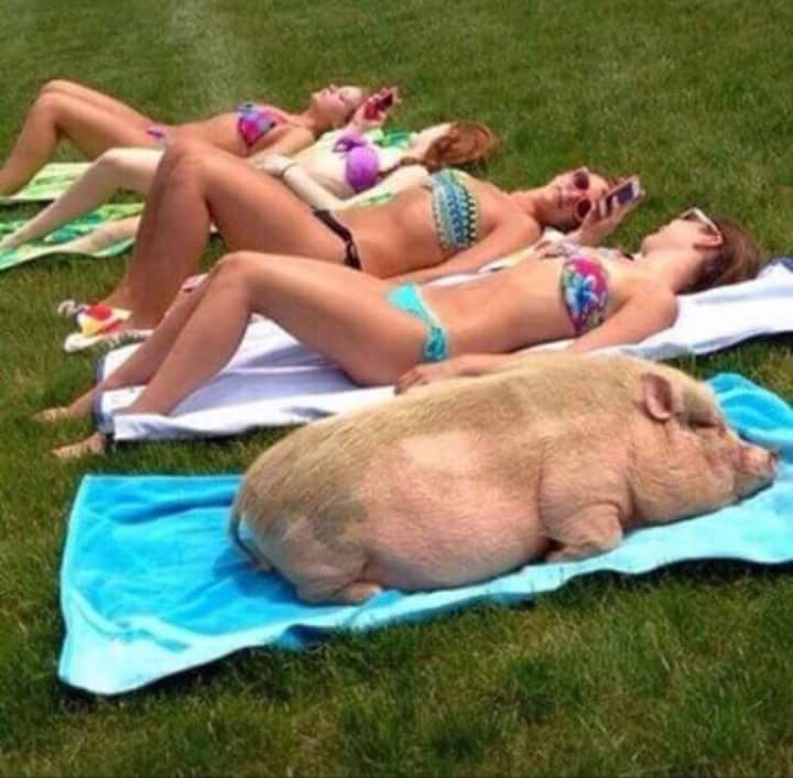 Lon suoi nang canh my nu hinh anh