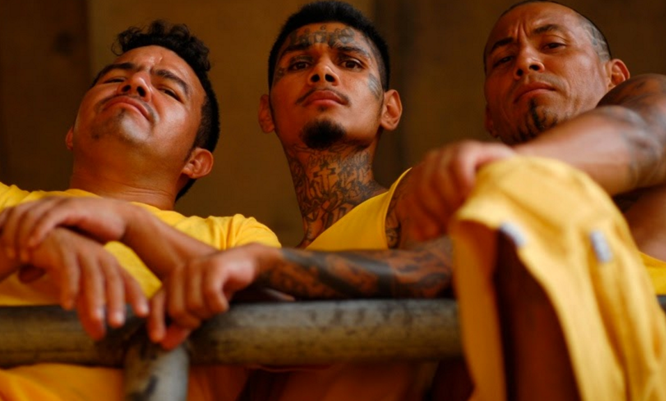 Cuoc song trong tu cua nhung toi pham xam mat hinh anh