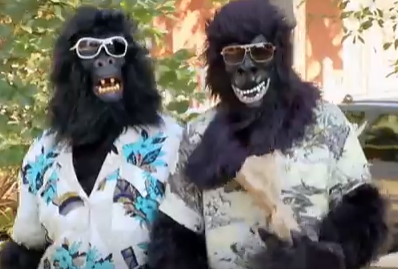 Ngam cuc tuc trong cui sat hinh anh