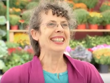 Danh roi mieng thit vi tieng cho sua hinh anh