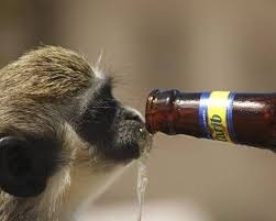 Chuyen khi vao quan bia hinh anh