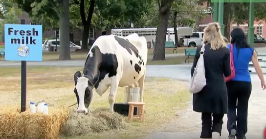 Bo tan cong nguoi bang tia sua hinh anh