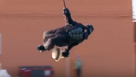 Khi dot du day lay cap chuoi hinh anh