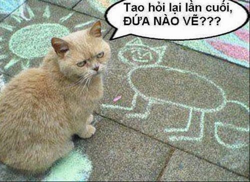 Co tuyen gau khong anh giai? hinh anh