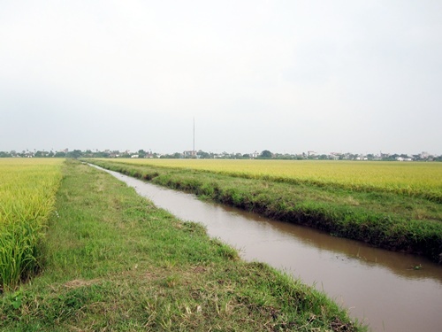 Chuyen tinh ben bo muong hinh anh