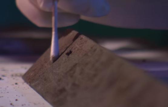 Lat mat ke giet nguoi anh 6