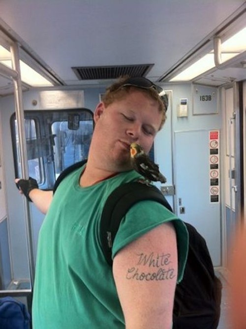 tinh huong kho tin tren tau dien anh 5