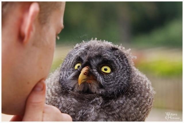 'Ranh ngon' teu tao hinh anh