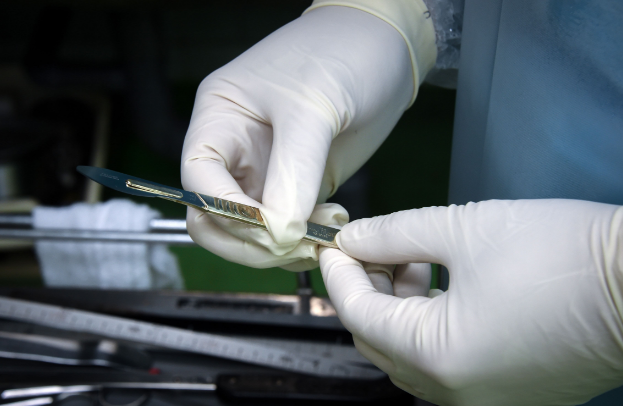 goa phu giet 2 chong anh 5