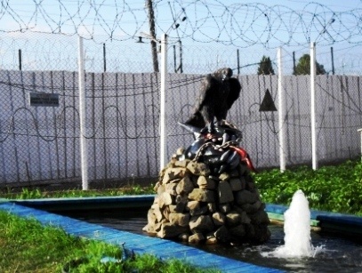 Tu nhan o noi lanh -40 do C anh 3