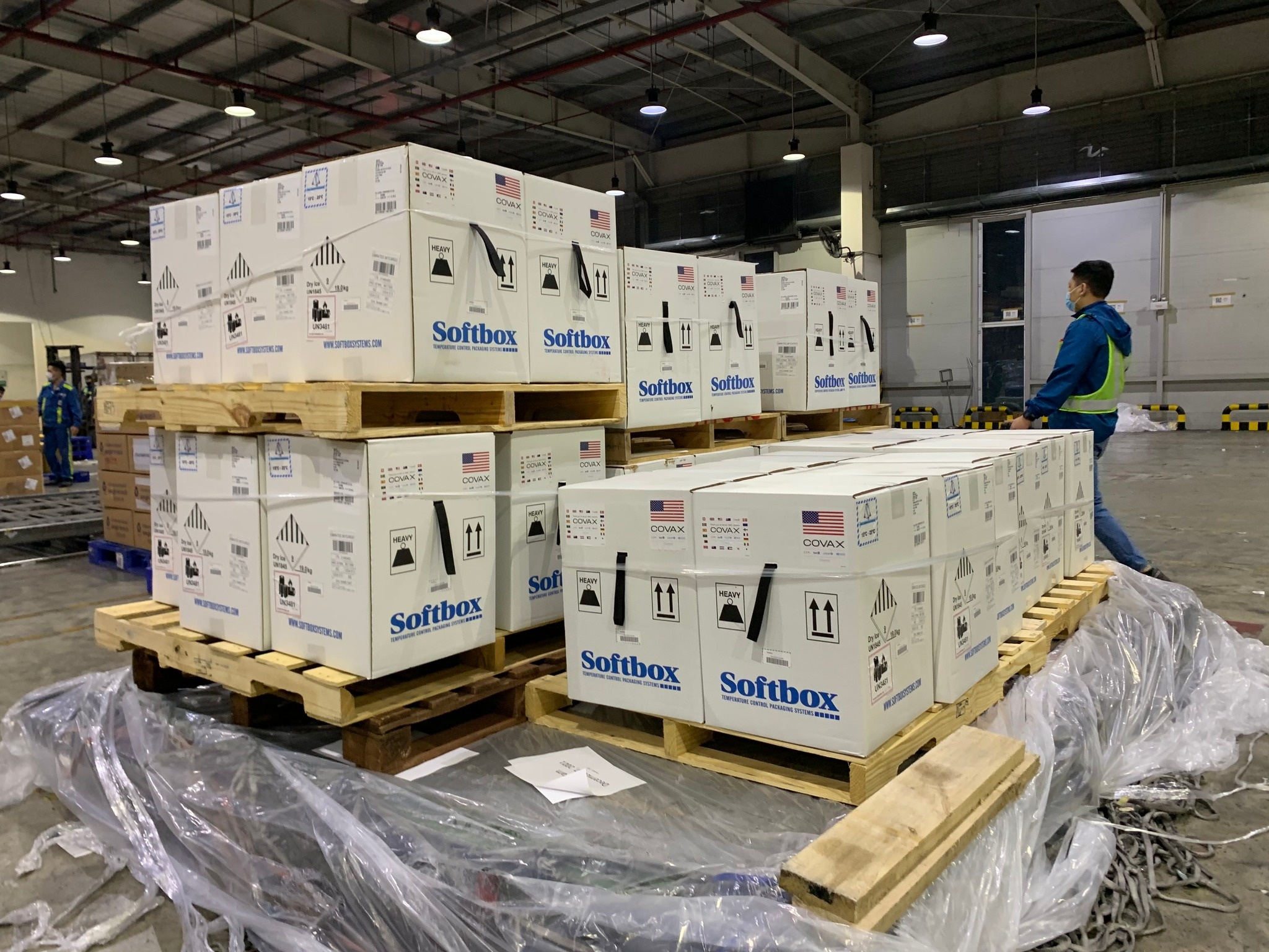 My vien tro vaccine cho Viet Nam anh 3