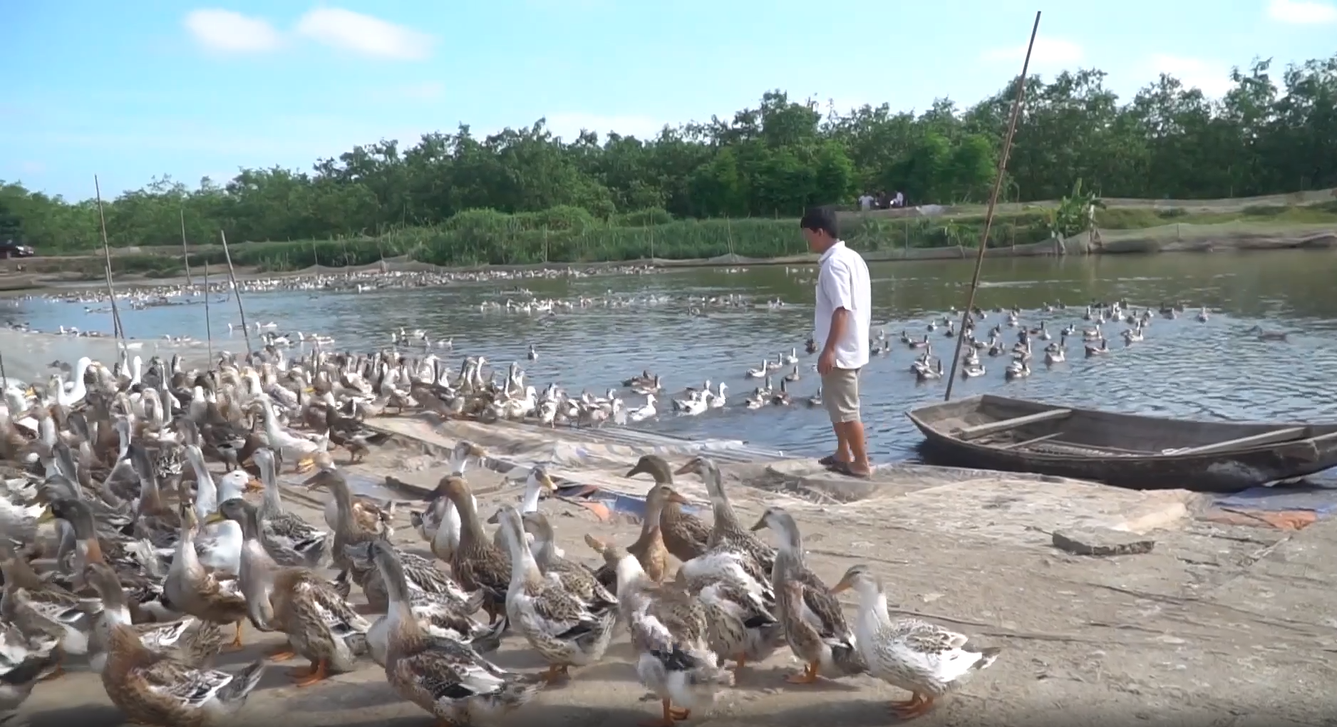 Nuoi vit bien lai cao hinh anh
