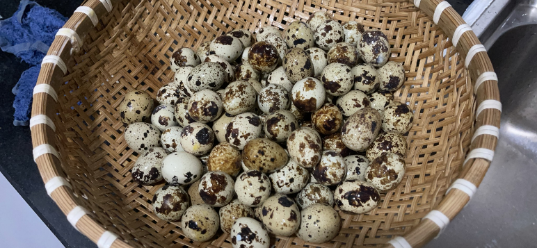 Kết nối giữa đại dịch ảnh 8 Ket noi giua dai dich anh 8