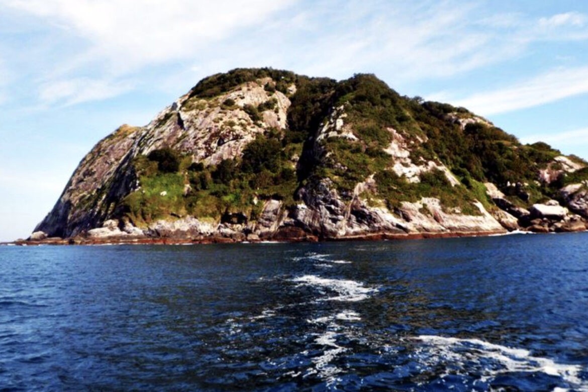 hon dao co 400.000 con ran anh 2