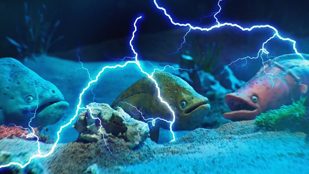 loai luon biet phong dien anh 5