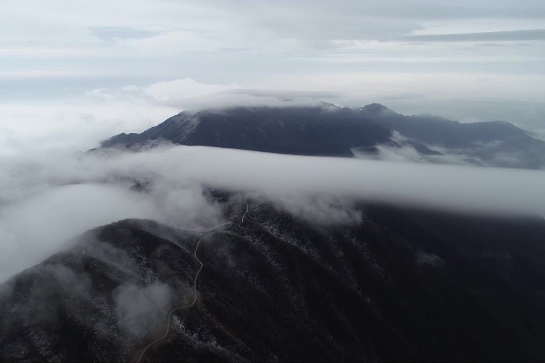 Tuyet dau xuan phu trang nui Thai Binh hinh anh