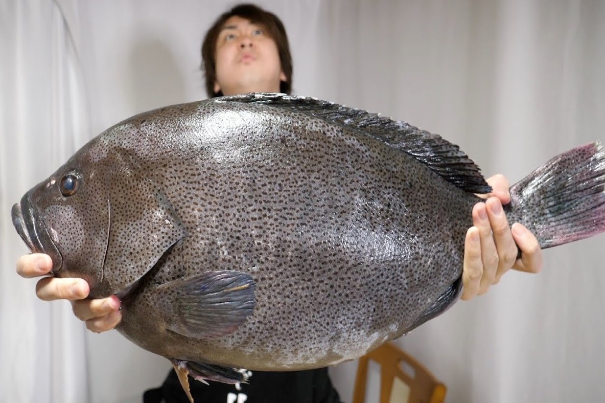 Dau bep mo bung ca mu khong lo, gia 1.000 USD hinh anh